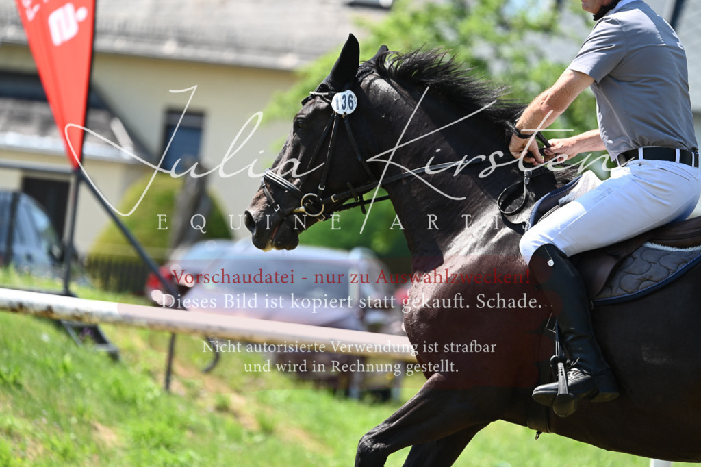 DSC_0749 | Pferde- und Turnierfotografie in Westsachsen. Pferdeportraits, Auftragszeichnungen und intuitive Kunst.