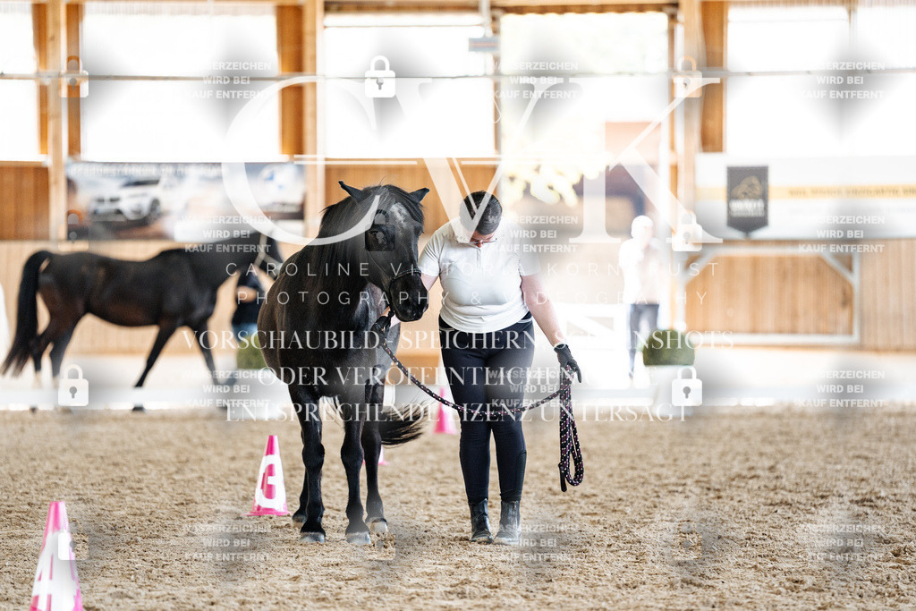 CK907526 | Turnierfotografie Pferdefotografie Trier Rheinland-Pfalz Pferdesport Reitsport Tierfotografie Sportfotografie Pferdevideo Pferdevideografie Equestrianvideography equestrianphotography  - Realisiert mit Pictrs.com