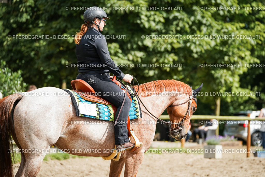 DSC04301 | Pferdegrafie