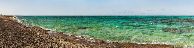 2022CU_PLAYA_coral-21_4500px_kurze_Kante_PRINT_6002