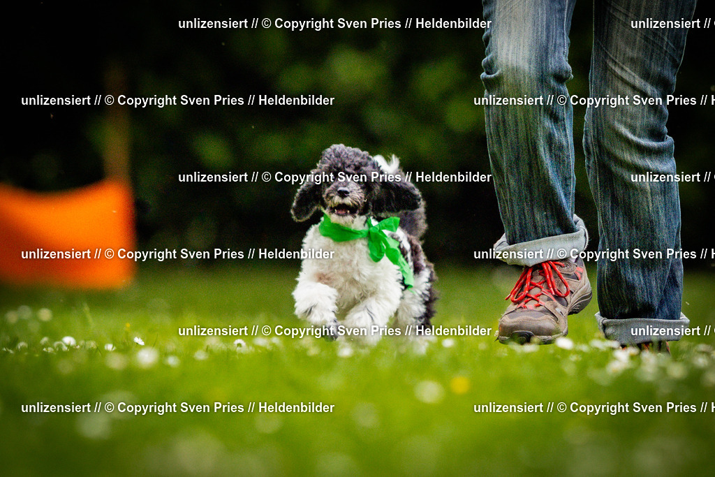 Sven Pries | 2025-05-29 - Pudelrennen KA-Durlach - Realisiert mit Pictrs.com