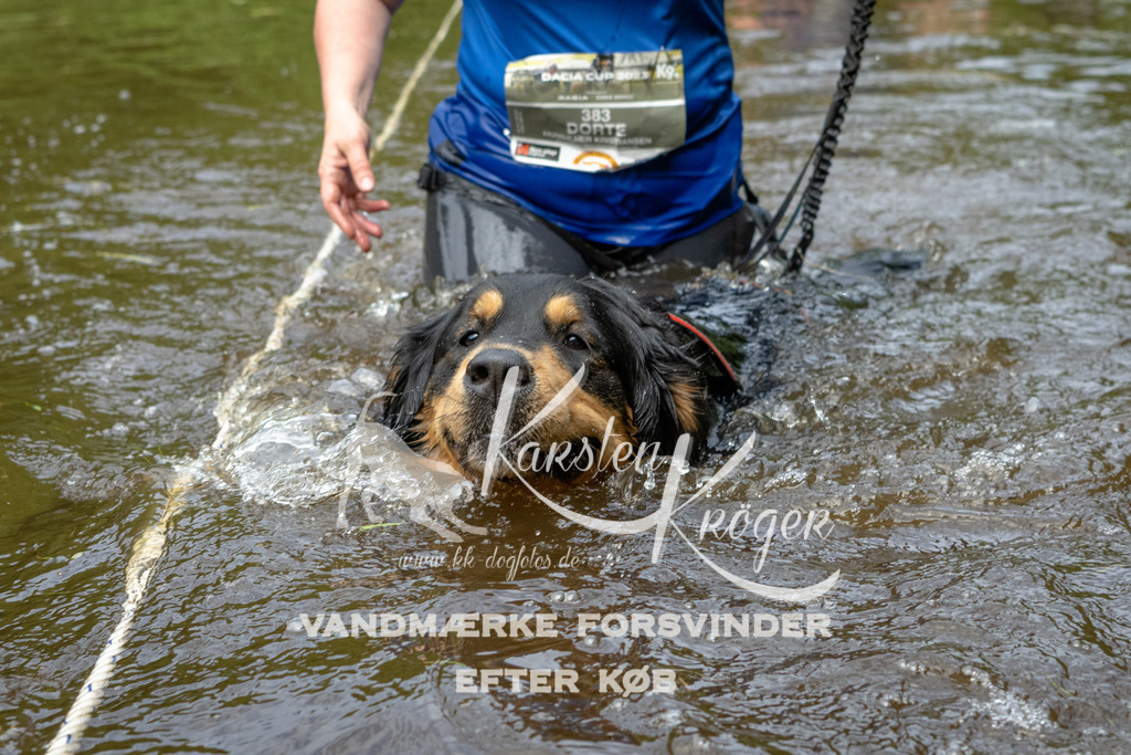 1113DKK994421 | kk-dogfotos