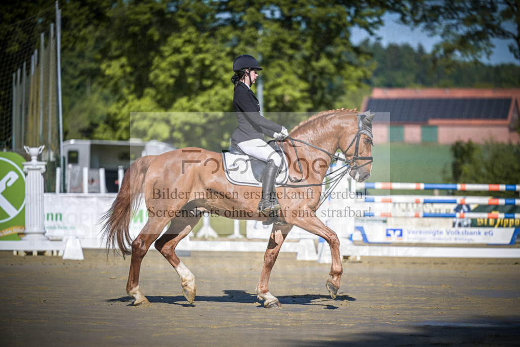 DOS_2964 | Entdecke hochwertige Reitturnierfotos von Foto Oger. Professionell, emotional und authentisch – jetzt Lieblingsmomente im Shop bestellen.Deutschlandweite Turnierfotografie. - Realisiert mit Pictrs.com