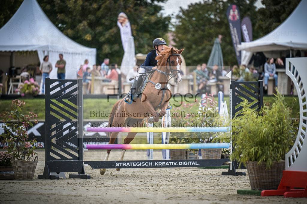DOS_0589 | Entdecke hochwertige Reitturnierfotos von Foto Oger. Professionell, emotional und authentisch – jetzt Lieblingsmomente im Shop bestellen.Deutschlandweite Turnierfotografie. - Realisiert mit Pictrs.com
