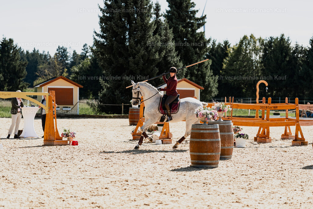 Kelly4_FHC2025-08877 | working equitationturnier fotograf videograf stoibphotography marixx film working equitation deutschland reitsport turnierfotografie eventfotografie equestrian events