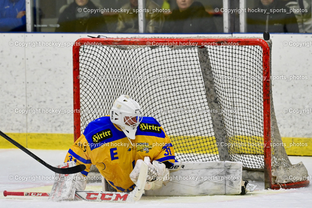  EHC Althofen vs. ESC Steindorf 9.3.202 | #31 Horn Fabian
