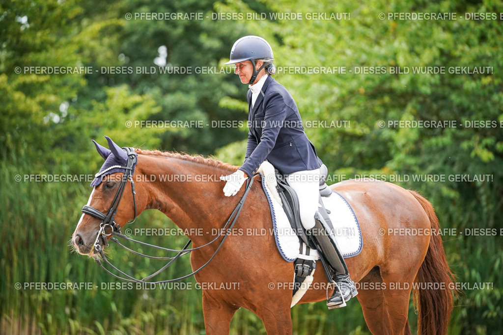 DSC09266 | Pferdegrafie