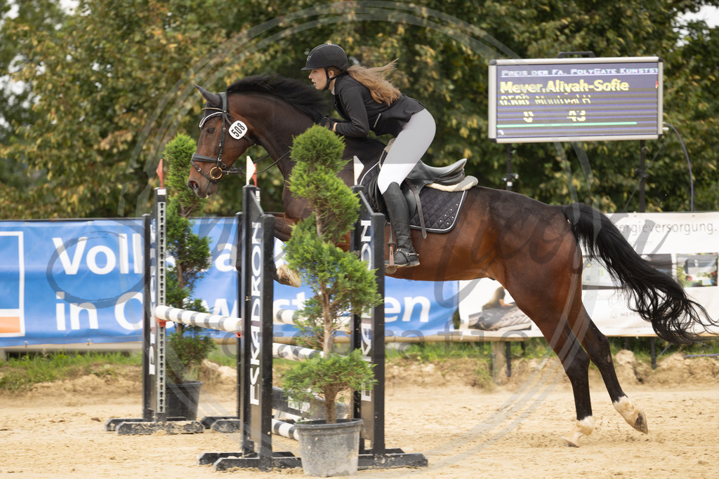 994A7742 | sabrinanicolaifotografie - Realisiert mit Pictrs.com