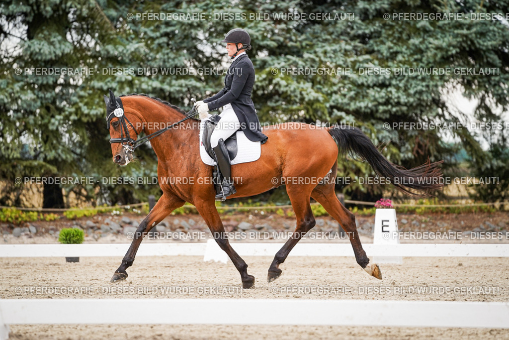 DSC07510 | Pferdegrafie