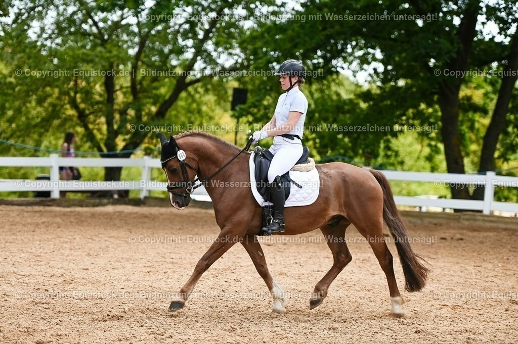 20230715_05_Dressurprüfung Kl.A++_0218 | equistock
