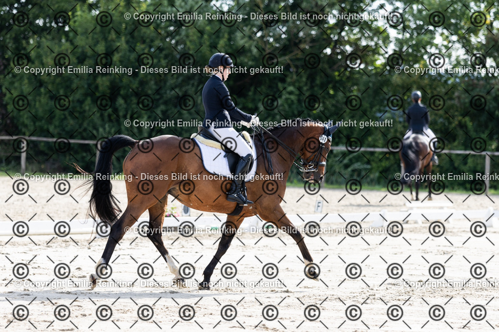 CL5A5600 | Emilia Reinking Fotografie - Realisiert mit Pictrs.com