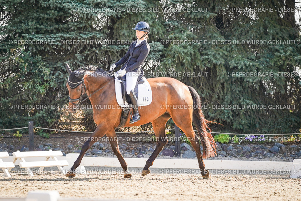 DSC09388 | Pferdegrafie