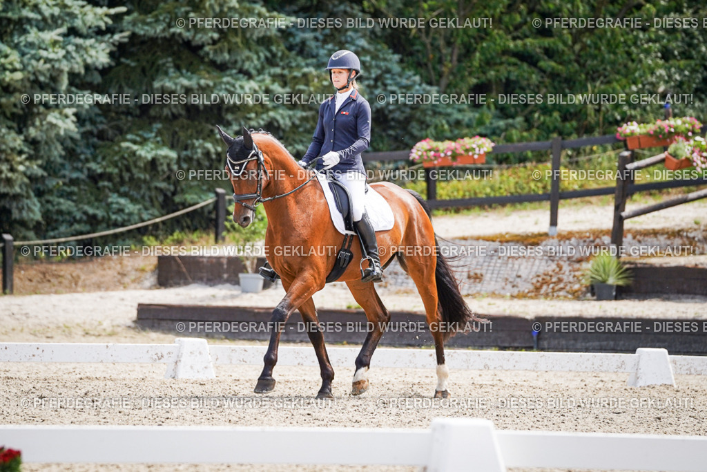 DSC00182 | Pferdegrafie