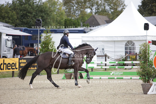 1J2A0993Alberto Rodriguez Lopez_ Ellington 16_ Kn433_ Havekost | Foto- und Videografie für alles rund ums Pferd. Hochwertige Bilder und Videos vom Spring- und Dressurreiten, Voltigieren & mehr. Jetzt aktuelle Veranstaltungen und Preise im Shop ansehen. - Realisiert mit Pictrs.com