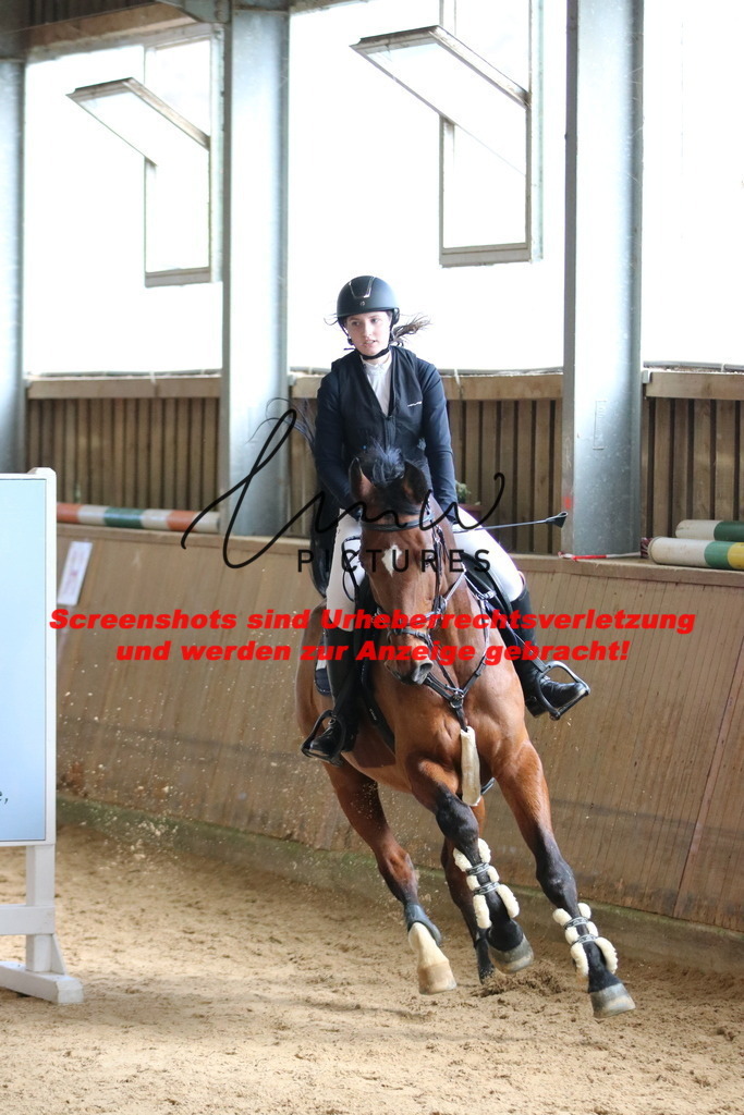 IMG_5591 | lmwpictures - Realisiert mit Pictrs.com