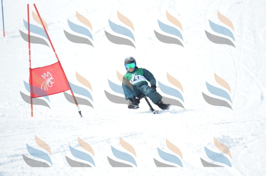 D9264 | holidayphoto