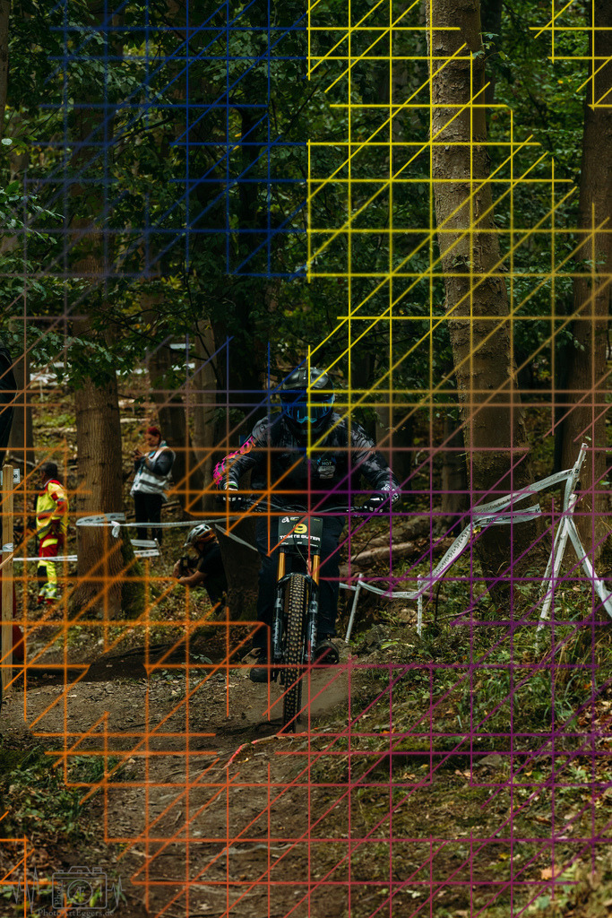 PAE-0243 | Einzigartige Fotokunst für dein Zuhause: Entdecke hochwertige Wandbilder, edle Prints und emotionale Motive von Wildlife, Natur und Landschaften - Realisiert mit Pictrs.com