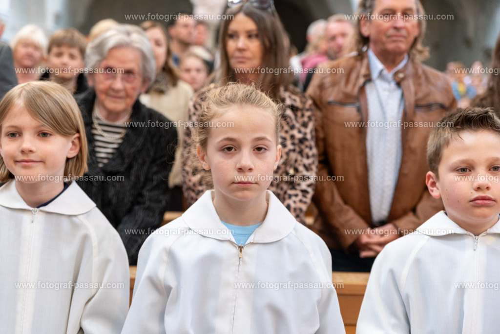 _DSC2625 | Hier finden Sie die Online Foto-Galerie von fotograf-passau.com und marius-handrugan.de. Suchen Sie sich direkt Ihre Lieblingsbilder aus, ob als Ausdruck oder Download. - Realisiert mit Pictrs.com