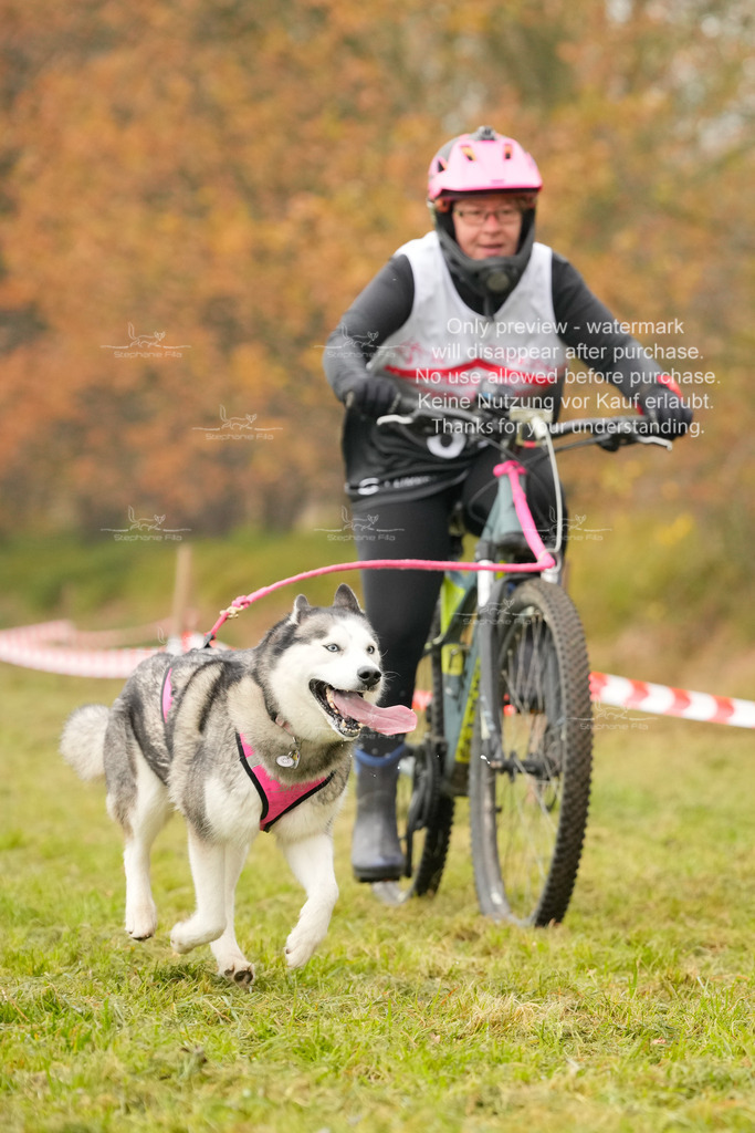 Visbeck_Sa_Bike-323 | stephaniefillaphotographie - Realisiert mit Pictrs.com