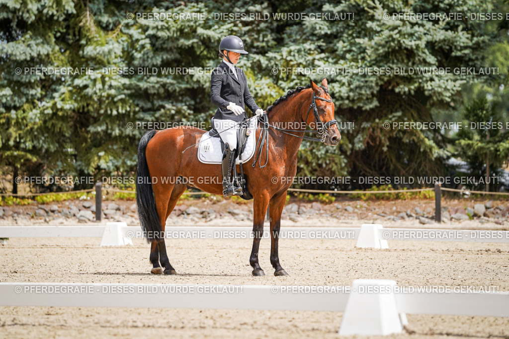 DSC03658 | Pferdegrafie