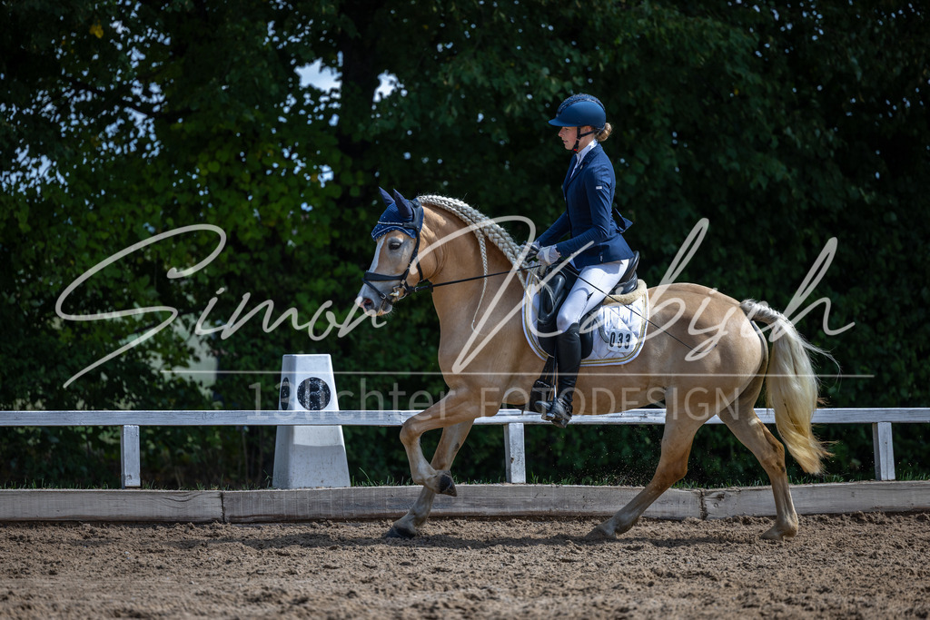 20260905-_3LI8273 | Tierfotografie Pferde, Hunde, Katzen, Haustiere.
Turnierfotografie Reitturniere, Reiten, Springreiten, Dressur in Hanau, dem Main-Kinzig-Kreis und dem Rhein-Main- Gebiet um Frankfurt