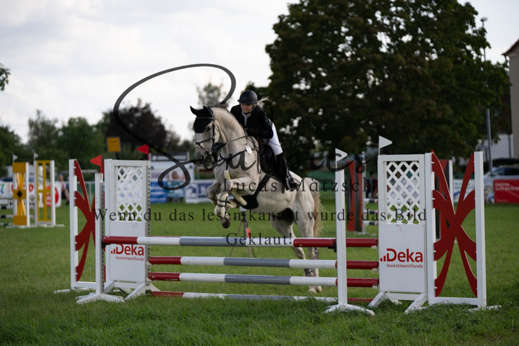 A7V03622 | Pferdefotograf