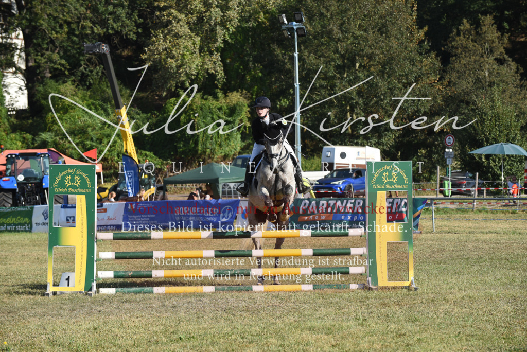 DSC_5266 | Pferde- und Turnierfotografie in Westsachsen. Pferdeportraits, Auftragszeichnungen und intuitive Kunst.
