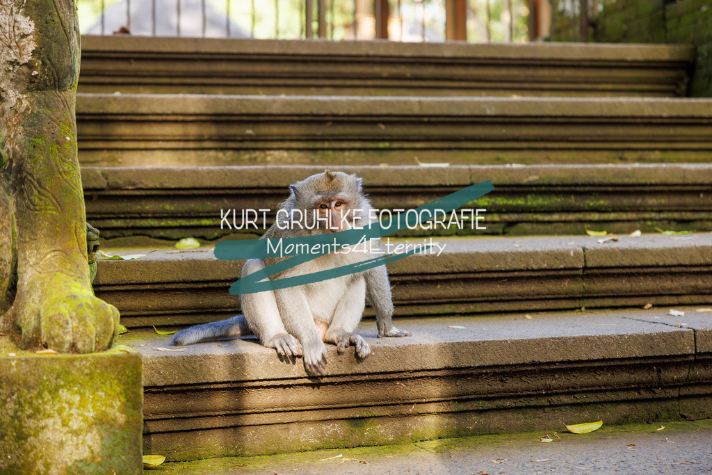 230718-0173 | onlinegalerie und Fotoshop Kurt Gruhlke Fotograf Berlin
Hochzeitsfotograf Eventfotograf Portraitfotografie
 - Realisiert mit Pictrs.com