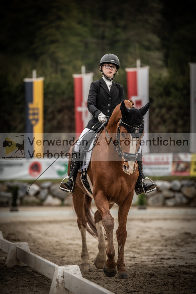 DSC_0118 | equestrian-live-com