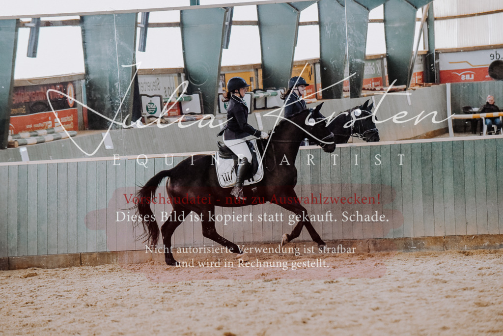 DSC_7645 | Pferde- und Turnierfotografie in Westsachsen. Pferdeportraits, Auftragszeichnungen und intuitive Kunst.