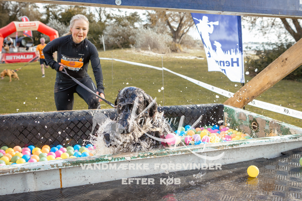 1411_ZZ93721-2 | kk-dogfotos