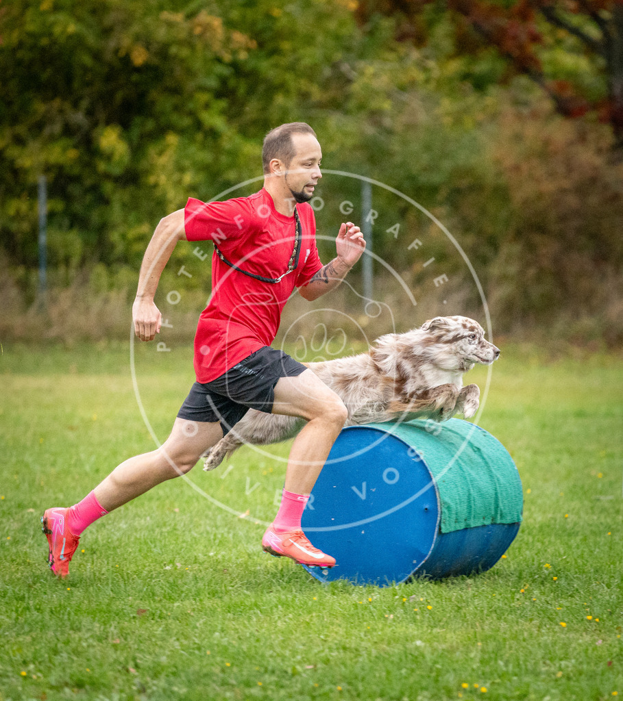 Pfotenfotografie_DV3A0942 | Hundefotografie, Tierfotograf, Pfotenfotografie, Fotoshooting Hund, Hunde Portrait, Hundesport, Hundeportraits, Heideshooting, Hunde, Sportfotograf, Hundefotograf, Turnierhundsport, THS,  - Realisiert mit Pictrs.com