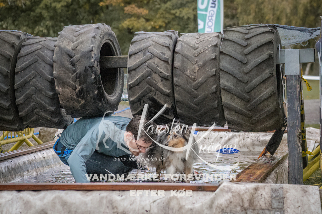 1652_ZZ94272 | kk-dogfotos