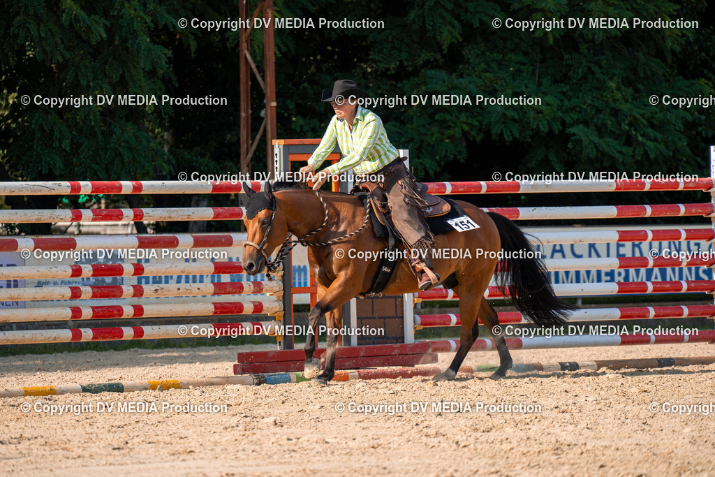 ZH100827 | dv-media-shop - Realisiert mit Pictrs.com