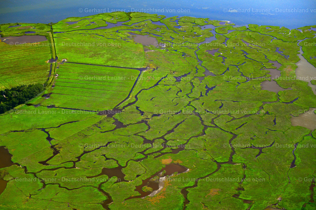 3638174 | Große Kirr, Nationalpark Vorpommersche Bodenlandschft, ZINGST 25.08.2016 Salzgrasland und Vogelschutz- Gebiet in Zingst an der Ostseeküste im Bundesland Mecklenburg-Vorpommern, Deutschland.