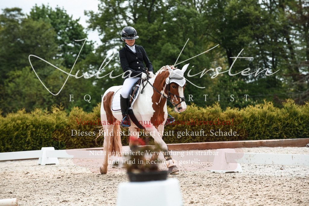20230518_JK-Röhrsdorf-10-677 | Pferde- und Turnierfotografie in Westsachsen. Pferdeportraits, Auftragszeichnungen und intuitive Kunst.