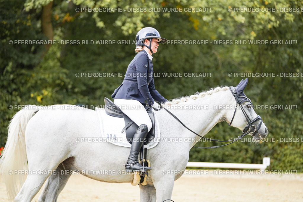 DSC02887 | Pferdegrafie