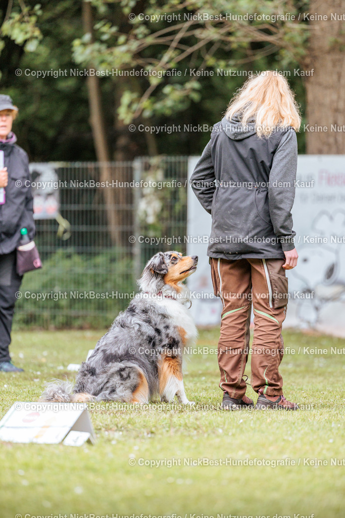 RO-Blumenthal-2026-Nickbest-Hundefotografie-2830 | Dein Hund! Dein Moment! Deine Erinnerungen! Hundefotografie in Bremen Blumenthal. Ich fange die besonderen Momente deines Vierbeiners ein – ob Indoor mit Blitzanlage oder in der freien Natur. Sicher dir dein Moment und dein Termin für eure Erinnerungen.