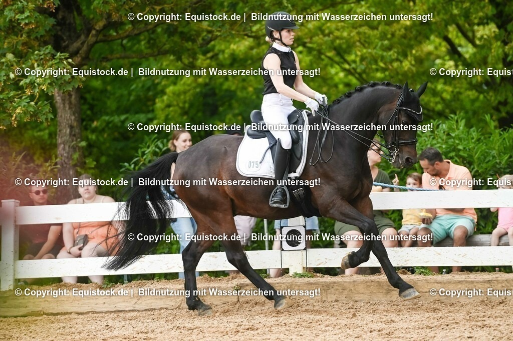 20230716_01_Dressurprüfung Kl.M_0474 | equistock