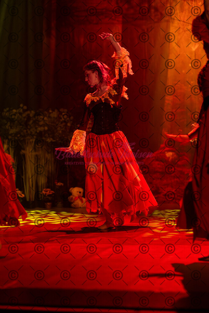Ballettaufführung-1452 | Bildershop Lem'n Entertainment - Realisiert mit Pictrs.com