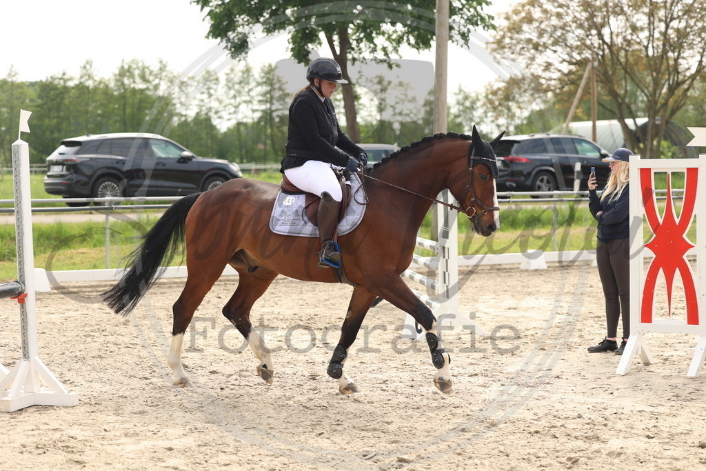 994A7753 | sabrinanicolaifotografie - Realisiert mit Pictrs.com