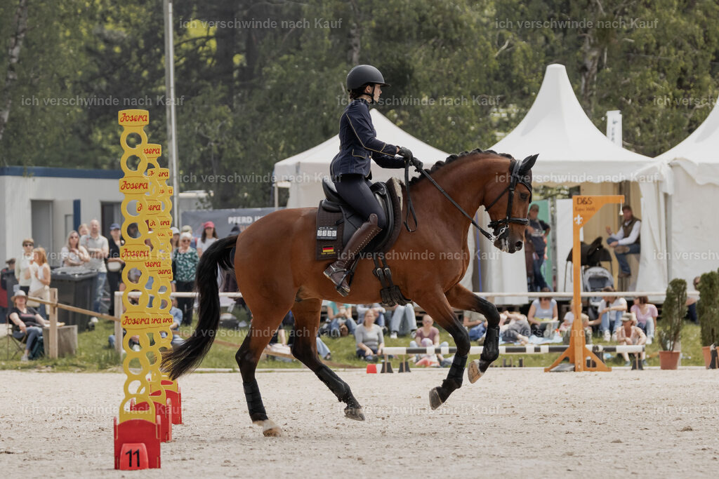 WE_ST_Stoib_335_PI2025_1020 | Pferd International München 2025