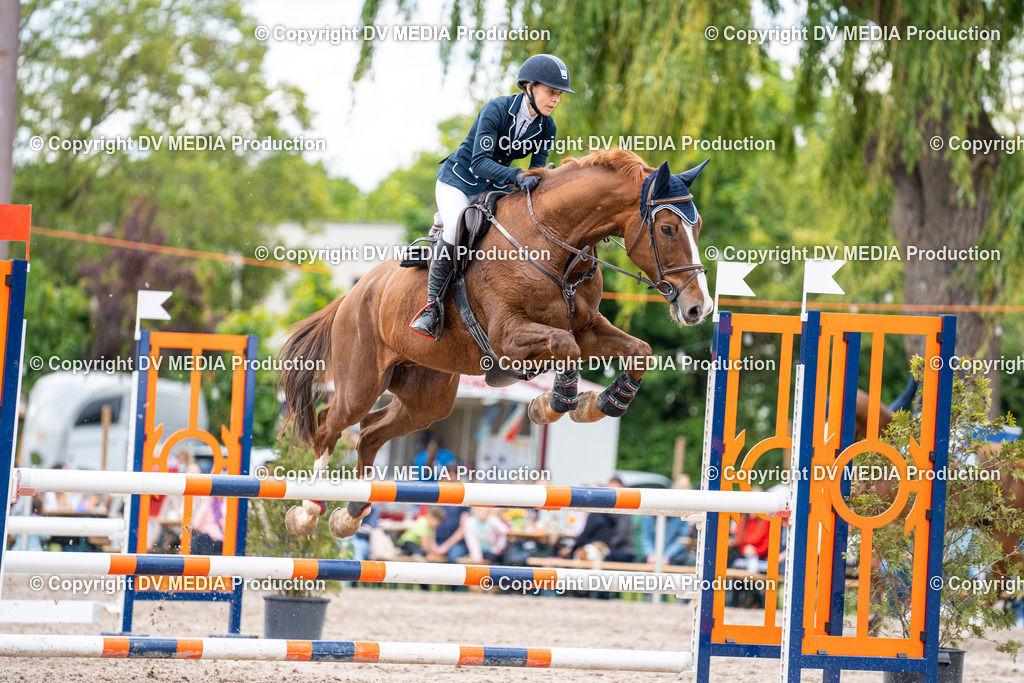 Eppelheim Tag 2-572 | dv-media-shop - Realisiert mit Pictrs.com