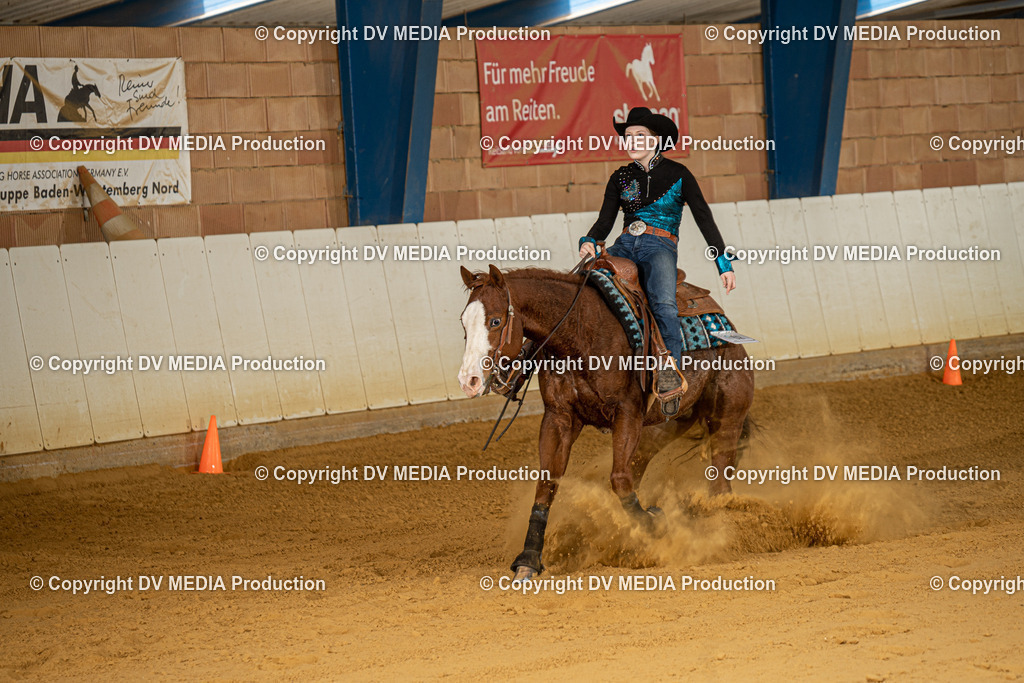 MIT00092 | dv-media-shop - Realisiert mit Pictrs.com