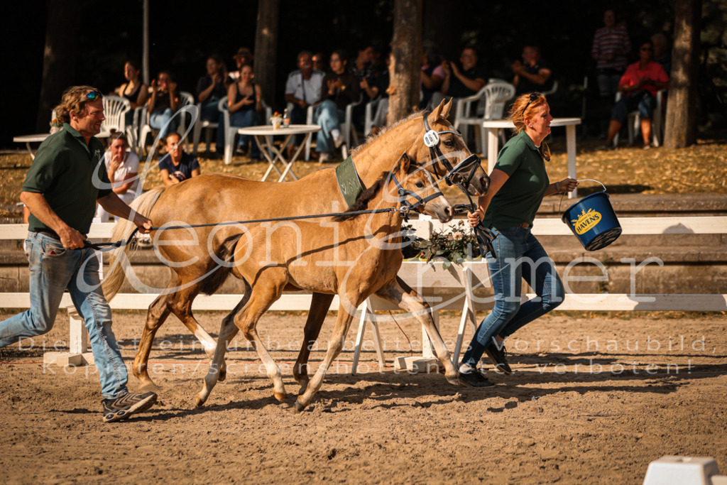 10.DoRP00247 | Leoni Ertmer Photography - Realisiert mit Pictrs.com