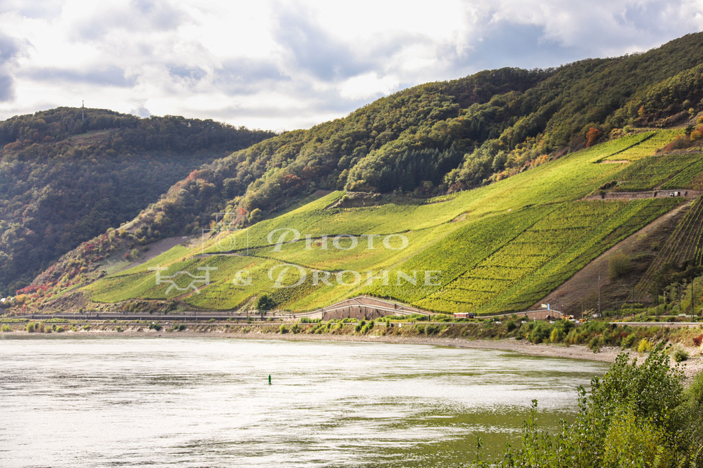 bopparder hamm-2331 | Der Bopparder Hamm bezeichnet sowohl die größte Rheinschleife als auch die beste Weinlage von Boppard am Rhein. - Realisiert mit Pictrs.com