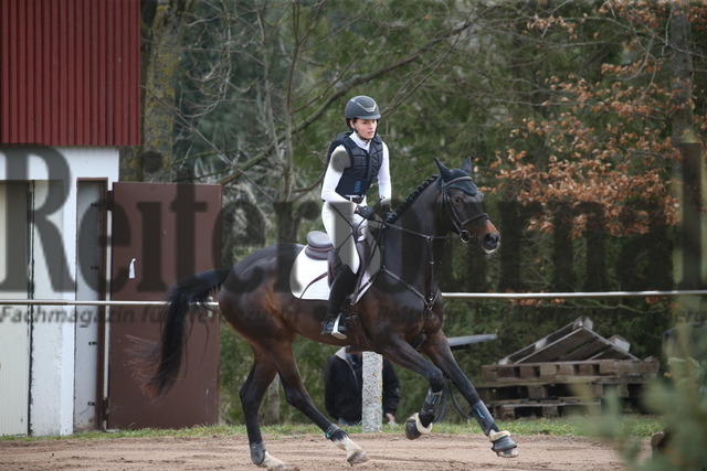 Altensteig_2023_Geländepferdeprfg_Kl.L_Carla Hanser_Luv 4 (3) | Alle Fotos der Reiterjournal Fotografin Doris Matthaes im Reiterjournal Online-Fotoshop. - Realisiert mit Pictrs.com