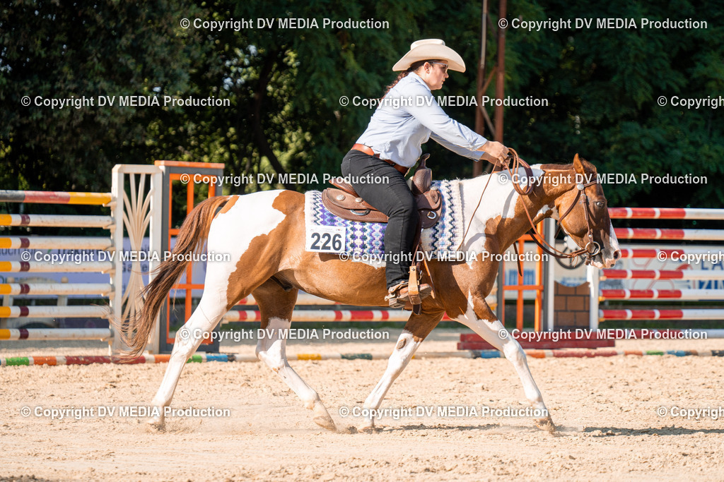 ZH100831 | dv-media-shop - Realisiert mit Pictrs.com