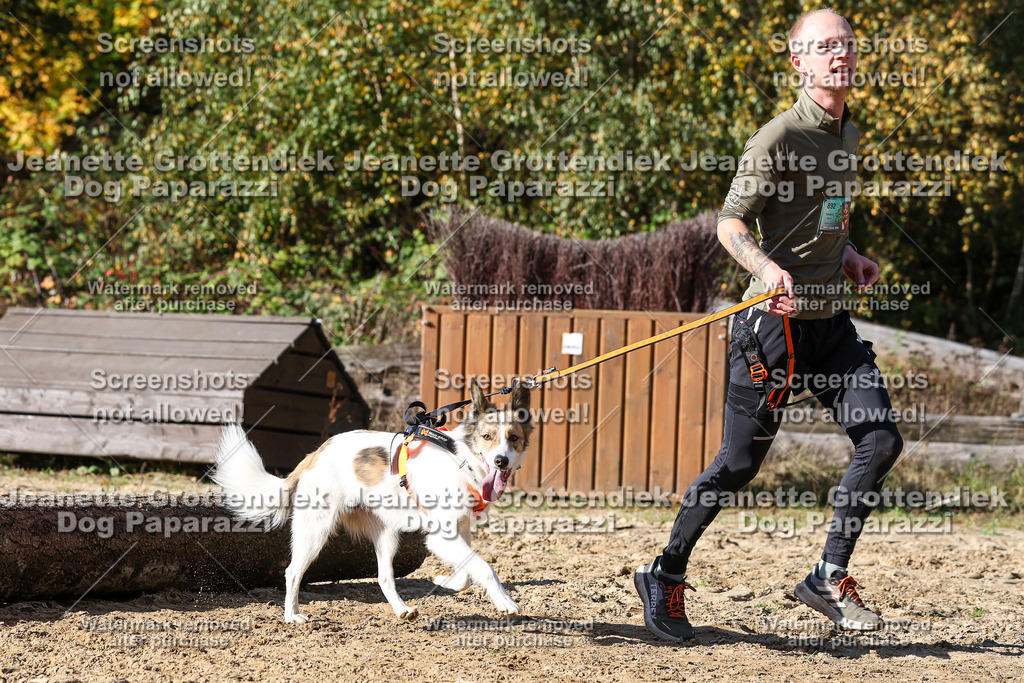 Dog Paparazzi - Strongdog 10-25-4818 | Dog Paparazzi Jeanette Grottendiek Fotografie & Videografie - Realisiert mit Pictrs.com