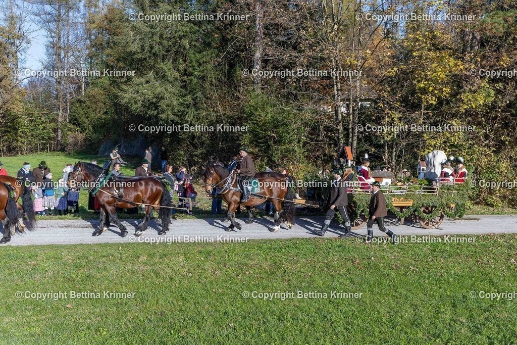 LBT24-766 | foto-bettina-krinner - Realisiert mit Pictrs.com